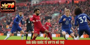 Giải Đấu Quốc Tế Vip79 Hỗ Trợ Dành Cho Tín Đồ Cá Cược