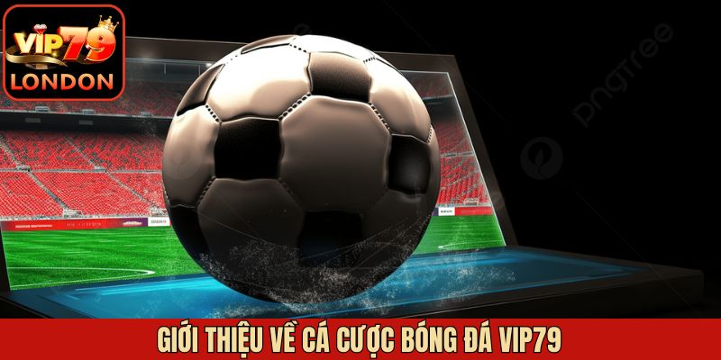 Cá Cược Bóng Đá Vip79 - Trải Nghiệm Đỉnh Cao Cho khách Hàng 1 Khái quát về cá cược bóng đá Vip79