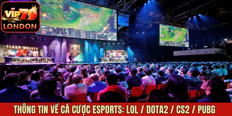 Thông tin tổng quan cá độ eSports: LOL / Dota2 / CS2 / PUBG