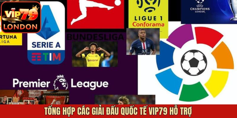 Giải Đấu Quốc Tế Vip79 Hỗ Trợ Dành Cho Tín Đồ Cá Cược 3 Khám phá các giải đấu quốc tế Vip79 hỗ trợ